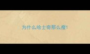 为什么哈士奇那么瘦