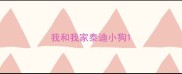 我和我家泰迪小狗