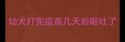 幼犬打完疫苗几天后呕吐了