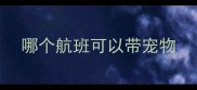 哪个航班可以带宠物