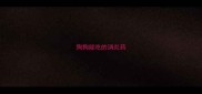 狗狗能吃的消炎药