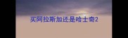 买阿拉斯加还是哈士奇
