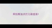 阿拉斯加犬打几联疫苗