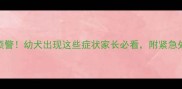 犬瘟抽搐预警幼犬出现这些症状家长必看附紧急处理全攻略