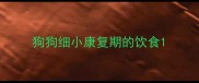 狗狗细小康复期的饮食