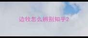 边牧怎么辨别知乎