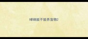 哮喘能不能养宠物