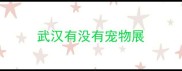 武汉有没有宠物展