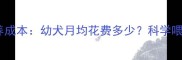 边牧三个月大喂养成本幼犬月均花费多少科学喂养指南全公开