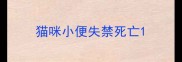 猫咪小便失禁死亡