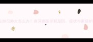 哈士奇左淋巴肿大怎么办资深兽医详解原因症状与家庭护理指南