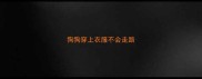 狗狗穿上衣服不会走路
