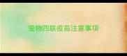 宠物四联疫苗注意事项