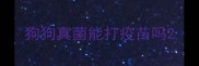 狗狗真菌能打疫苗吗