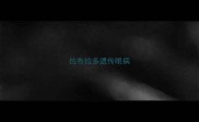 拉布拉多遗传眼病