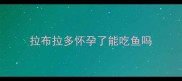 拉布拉多怀孕了能吃鱼吗
