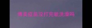 博美疫苗没打完能洗澡吗