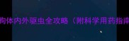 宠物医生详解小狗体内外驱虫全攻略附科学用药指南与家庭护理技巧