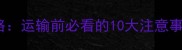 宠物托运全攻略运输前必看的10大注意事项与应急指南