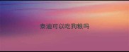 泰迪可以吃狗粮吗