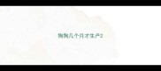 狗狗几个月才生产