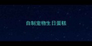 自制宠物生日蛋糕