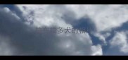 拉布拉多犬的相片