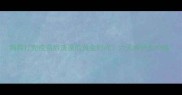 狗狗打完疫苗后洗澡的黄金时间六天养护全攻略