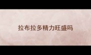 拉布拉多精力旺盛吗