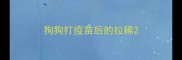 狗狗打疫苗后的拉稀