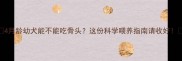4月龄幼犬能不能吃骨头这份科学喂养指南请收好