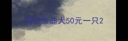 茶杯泰迪犬50元一只