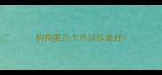 狗狗要几个月训练最好