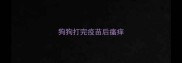狗狗打完疫苗后瘙痒