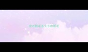 金毛换毛多久长出新毛