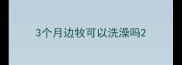 3个月边牧可以洗澡吗