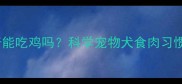 专业解读哈士奇能吃鸡吗科学宠物犬食肉习惯与鸡肉喂养指南