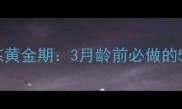 金毛犬幼犬训练黄金期3月龄前必做的5大关键训练法
