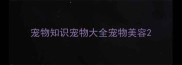 宠物知识宠物大全宠物美容