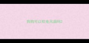 狗狗可以吹电风扇吗