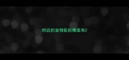 附近的宠物医院哪里有