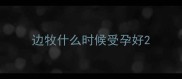 边牧什么时候受孕好