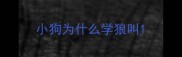 小狗为什么学狼叫