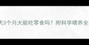 泰迪幼犬3个月大能吃零食吗附科学喂养全攻略