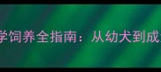 巨贵犬的成长周期与科学饲养全指南从幼犬到成犬的24个月发育关键期