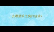 去哪里给土狗打疫苗