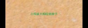 小狗被大狗咬到脖子