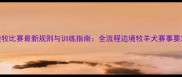 边牧比赛最新规则与训练指南全流程边境牧羊犬赛事要求