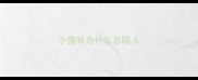 小猫咪为什么总咬人