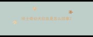哈士奇幼犬拉血是怎么回事